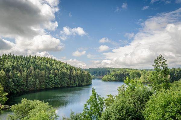 Le Gagnage 31 Pers- Malmedy, Rustique, Vue, Wellnessヴィラ エクステリア 写真